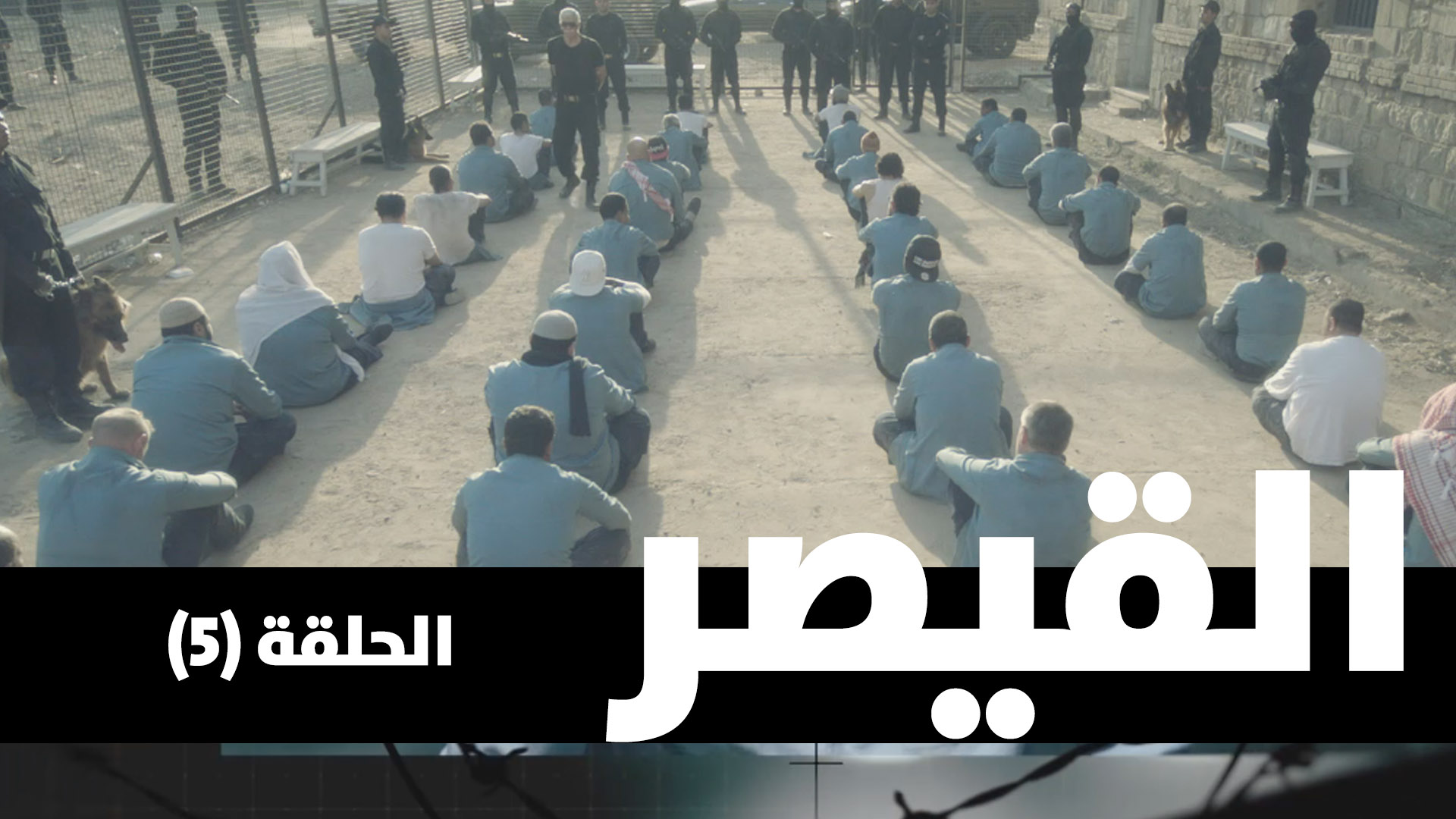 الحلقة الخامسة